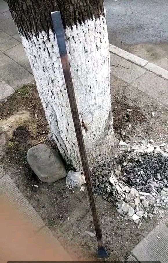 晒晒挖下山桩的三件宝贝 怎么样 图片