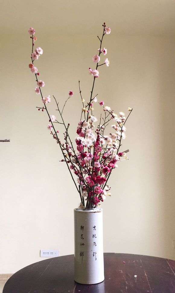 搞个梅花下山桩插瓶当年花 怎么样 图片