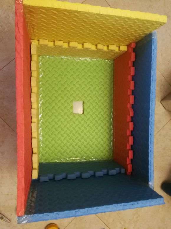 枫树下山桩怎么换盆移栽的方法 图片