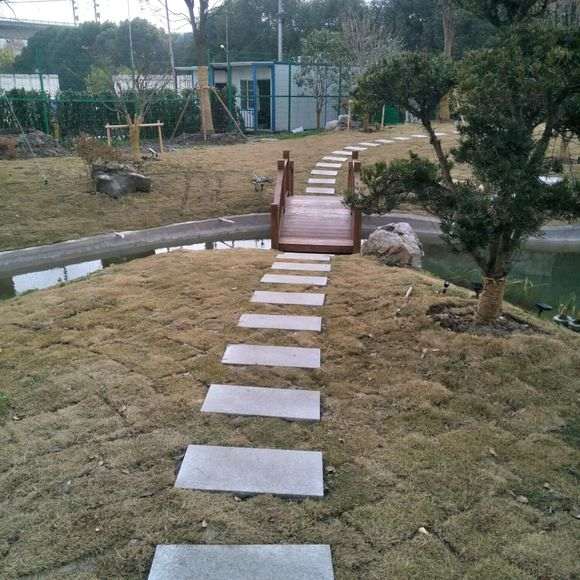 这棵紫薇下山桩 价格7万 怎么样 图片