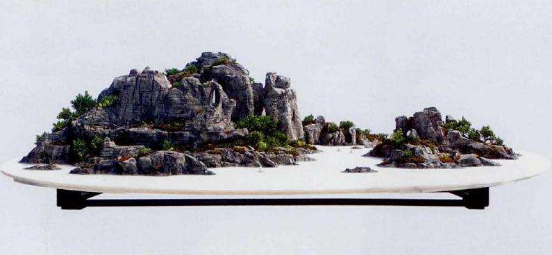 2019 韩琦先生山水盆景作品 图片