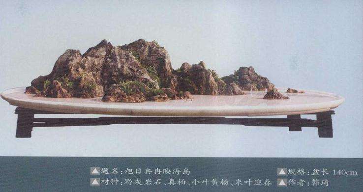 2019 韩琦先生山水盆景作品 图片