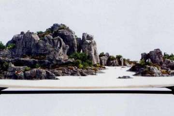 2019 韩琦先生山水盆景作品 图片