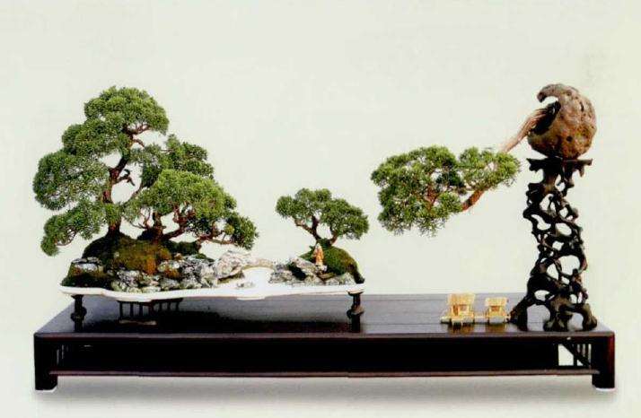 盆景乐园 十年发展 有目共睹 图片