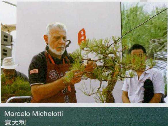 李克文荣获盆景乐园终身名誉站长 图片