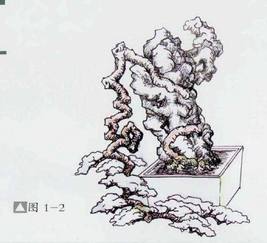 图解 石上捞月式盆景怎么制作的方法
