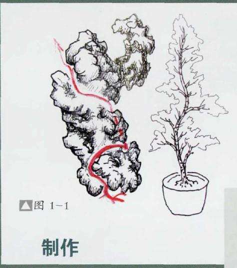 图解 石上捞月式盆景怎么制作的方法