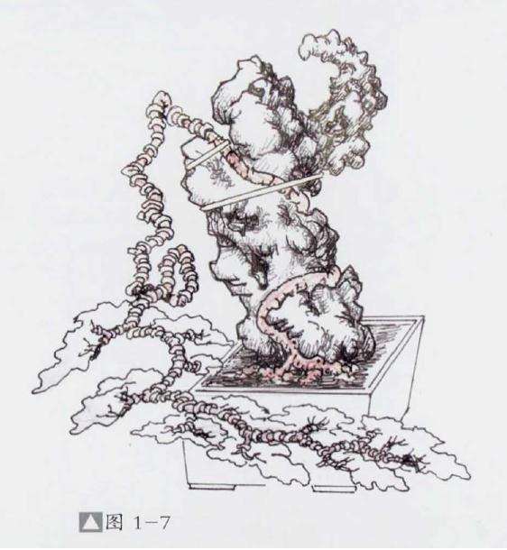 图解 石上捞月式盆景怎么制作的方法