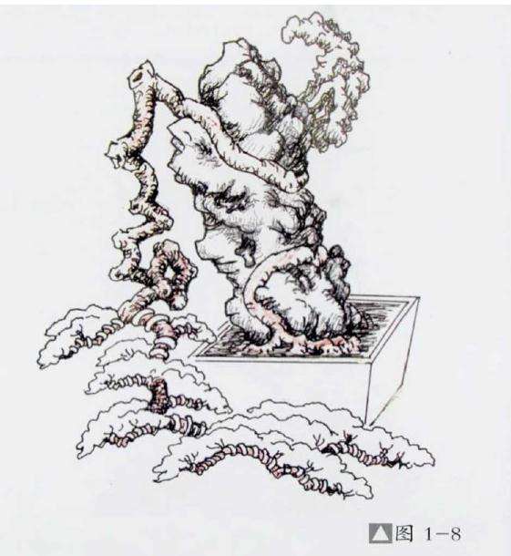 图解 石上捞月式盆景怎么制作的方法