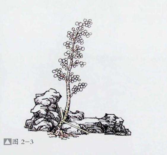 石上文人式盆景怎么制作的方法