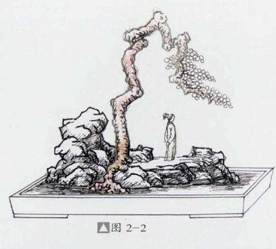 石上文人式盆景怎么制作的方法