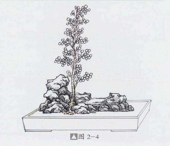 石上文人式盆景怎么制作的方法