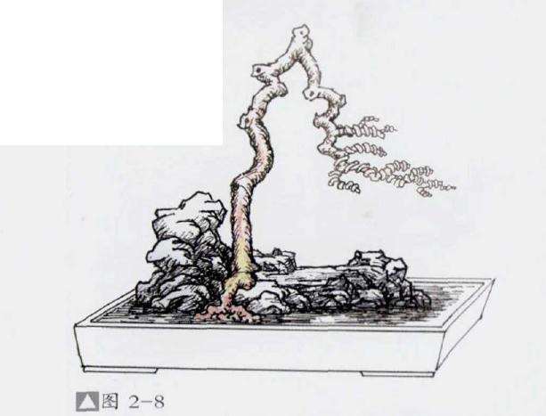 石上文人式盆景怎么制作的方法