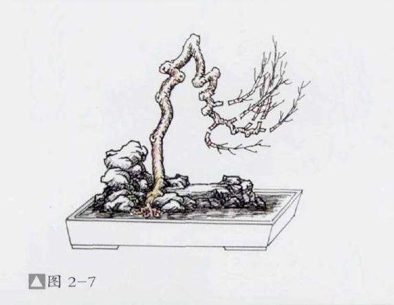 石上文人式盆景怎么制作的方法