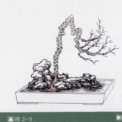 石上文人式盆景怎么制作的方法