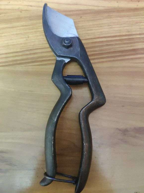 看看 我制作盆景用的工具 怎么样 图片