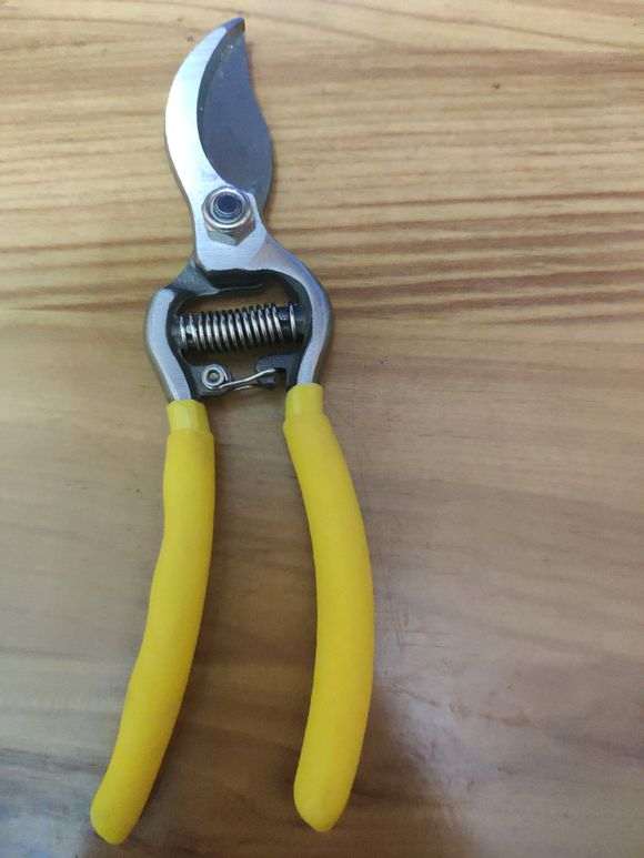 看看 我制作盆景用的工具 怎么样 图片