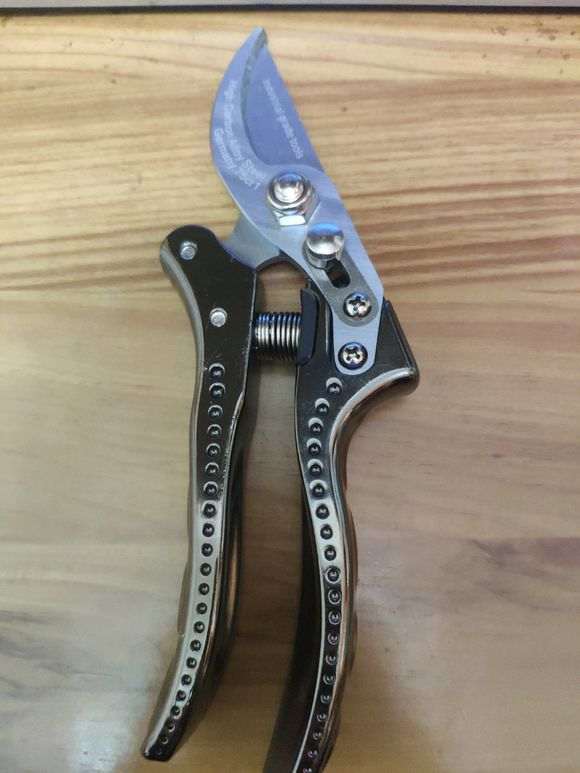 看看 我制作盆景用的工具 怎么样 图片