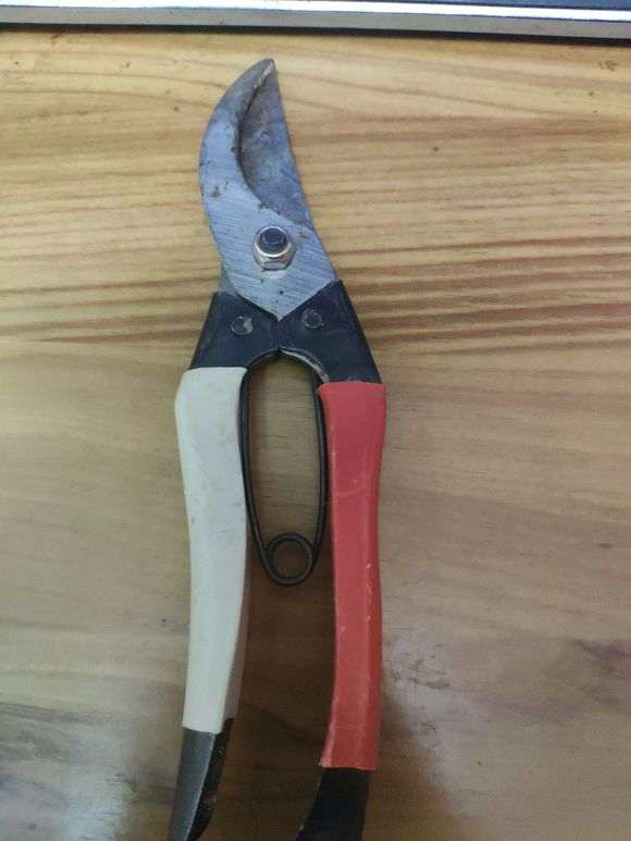 看看 我制作盆景用的工具 怎么样 图片