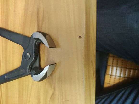 看看 我制作盆景用的工具 怎么样 图片