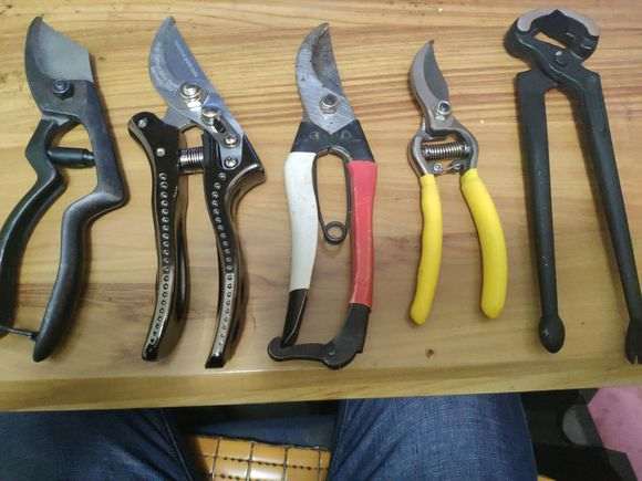 看看 我制作盆景用的工具 怎么样 图片