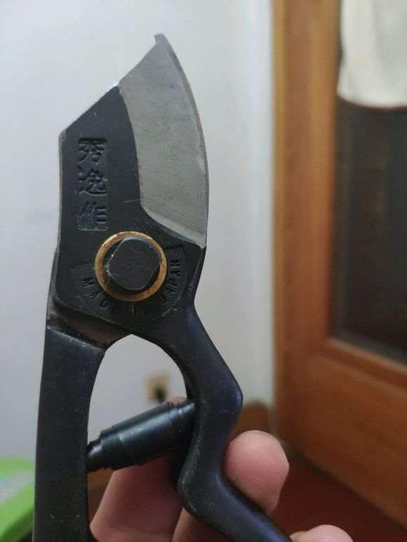 看看 我制作盆景用的工具 怎么样 图片