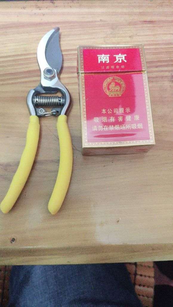 看看 我制作盆景用的工具 怎么样 图片