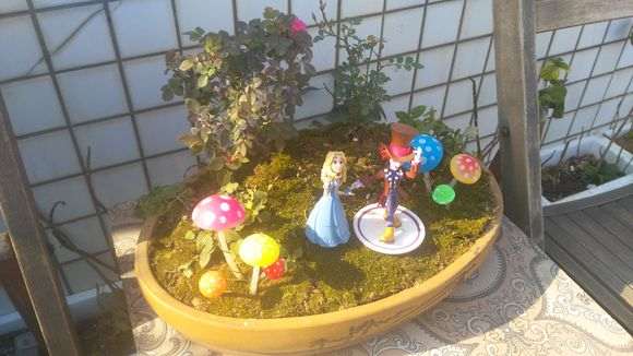 我制作的月季盆景 可以吗 求欣赏 图片