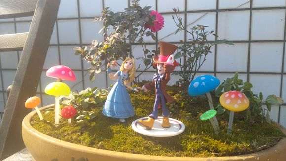 我制作的月季盆景 可以吗 求欣赏 图片