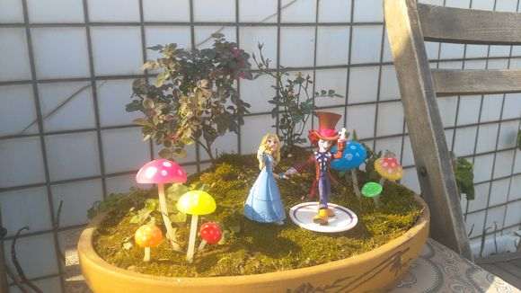 我制作的月季盆景 可以吗 求欣赏 图片