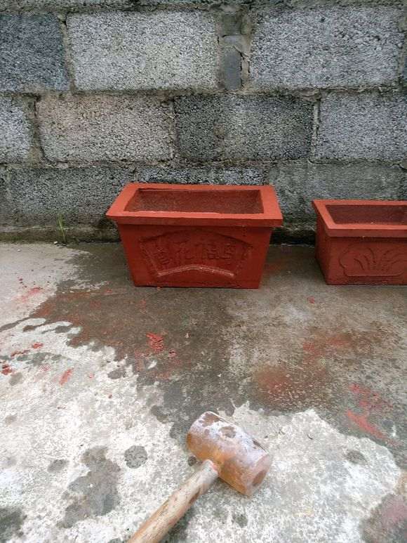 月季下山桩可以用水泥花盆栽吗 图片