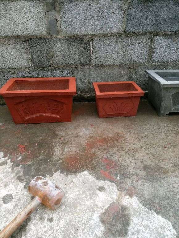 月季下山桩可以用水泥花盆栽吗 图片