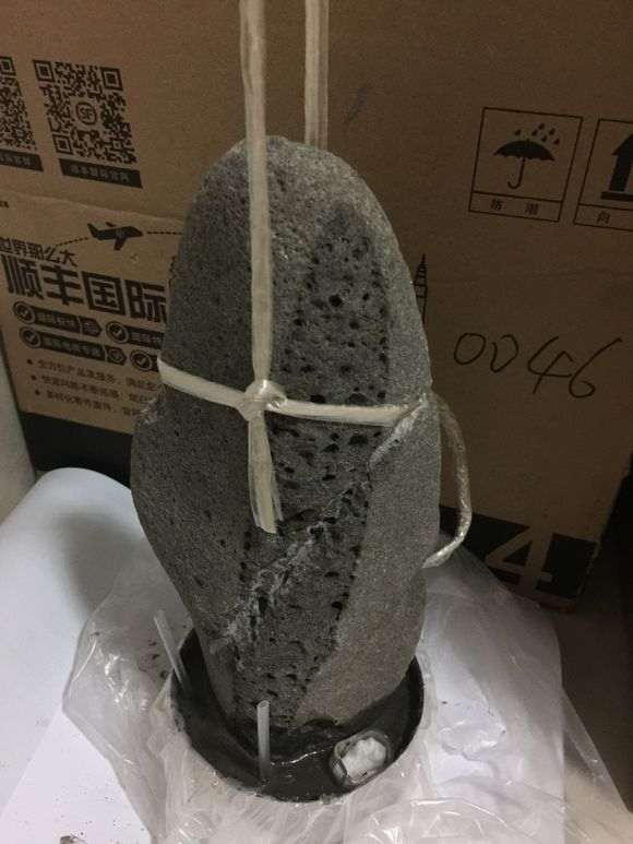 长寿梅下山桩怎么制作附石盆景 图片