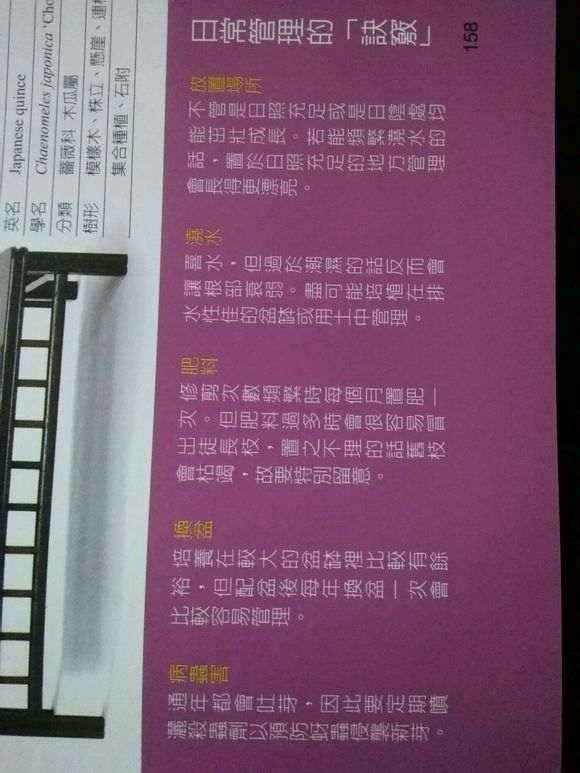 长寿梅下山桩怎么越冬的方法 图片