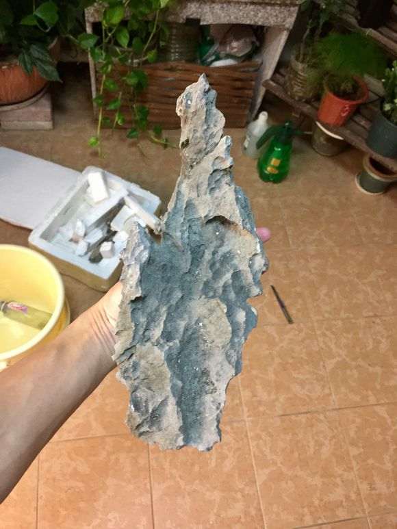 图解 长寿梅下山桩怎么制作过桥盆景