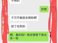 九里香下山桩怎么泡生根粉的方法 图片