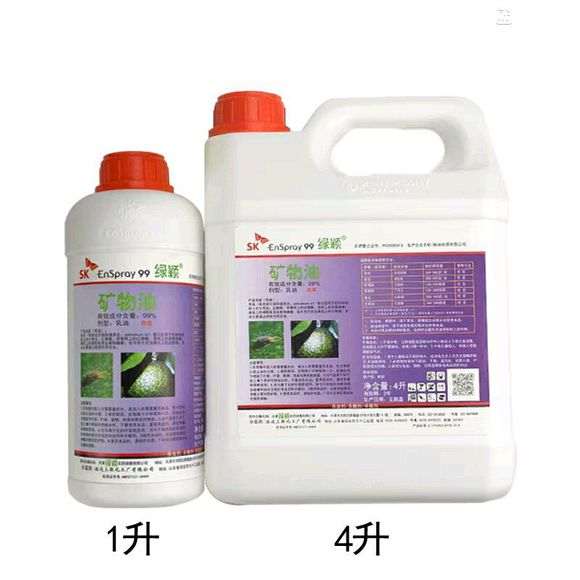 九里香下山桩出现白色 怎么办 图片