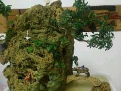 六月雪下山桩怎么制作附石盆景 图片