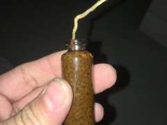 六月雪下山桩修剪下来的根能否插活