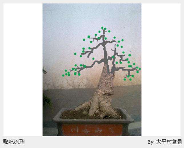 银杏下山桩发芽后 怎么造型 图片