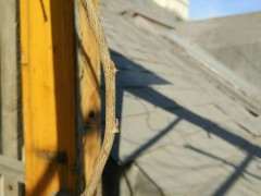 紫藤下山桩什么时候发芽 图片