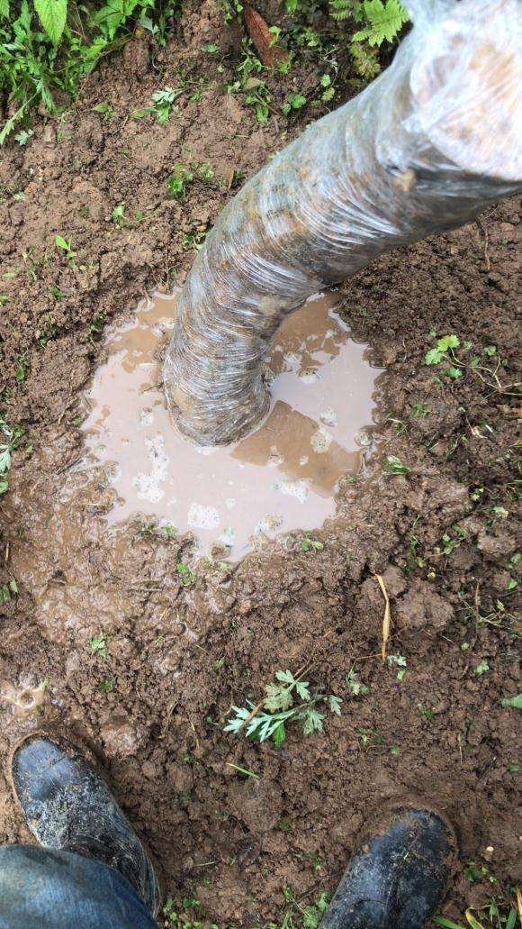 种紫藤下山桩要包保鲜膜 怎么办 图片