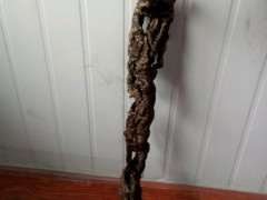 紫藤下山桩桩头没有根啊 怎么办 图片