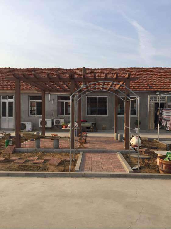 怎么给紫藤下山桩搭个花架的方法 图片