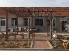 怎么给紫藤下山桩搭个花架的方法 图片