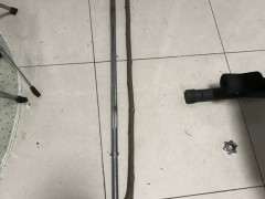 紫藤下山桩华盖要怎么栽培的方法 图片