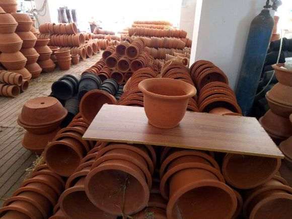 为什么紫藤下山烂根跟花盆有关 图片