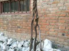 这棵紫藤下山桩能不能修剪成树型 图片