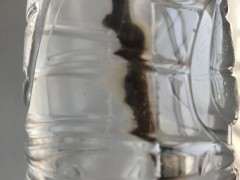 水培的紫藤下山桩杆上 有白点怎么办