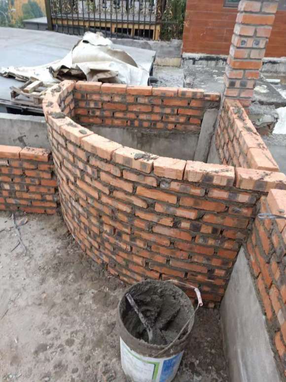 紫藤下山桩养到第三年终于开花啦 图片